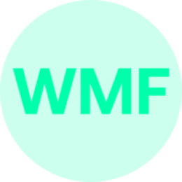 WMFlow logo