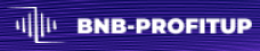 BNB Profitup logo