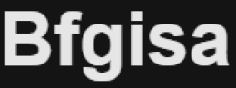 Bfgisa logo
