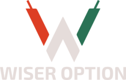 Wiser Option logo