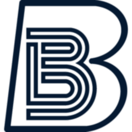 BearmountainInvest logo