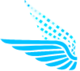 InternationalReserve logo