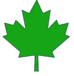 Dominion Trust Capital logo