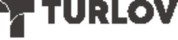 Turlov Family Office Securities logo