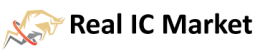 Real IC Market logo