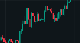 TerminalrDigital logo