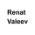 Ренат Валеев logo
