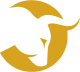NexfordCapital logotype