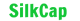 SilkCap logotype