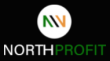 NorthProfit logotype