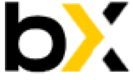 Bincryptex logo