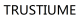 Trustiume logotype