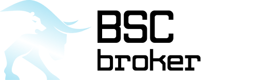 BSC Broker logo