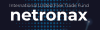 Netronax logo