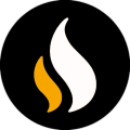 Coinesa logo
