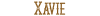 Xavie logo