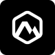 Nelson Financial Solutions logotype