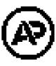 Capital Asset Holding logotype