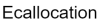 Ecallocation logotype