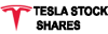 Tesla Stock Shares logo