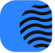 Capital Brain logotype
