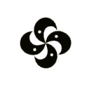 Celestra Group logo