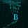 VentureRise logo