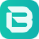 Bi Nmd logotype