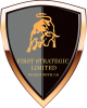 First Strategic Limited logotype