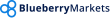 Blueberry Markets logo