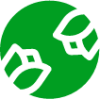 Rozannamir logotype