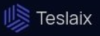 Teslaix logo