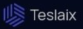 Teslaix logo