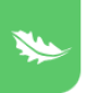 Saleads logotype