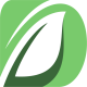 Daytona Capital Ltd logotype