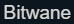 Bitwane logo