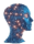 CryptoMind logo