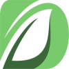 Cfd Daytona LtdCapital logo