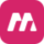 Meso Jt logo