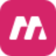 Meso Jt logotype