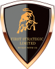 First Strategic Limited logotype
