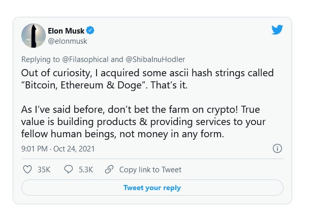 Всего один твит Илона Маска смог обвалить стоимость криптовалюты Shiba Inu