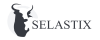 Selastix logotype