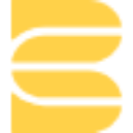 BWSE Pos logo