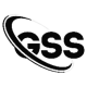 Global Solution Strategies logotype