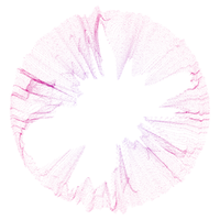 Swiss Nordic logo