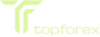 Topforex Xyz logo