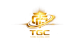 Turbo Global logotype