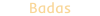 Badas logo