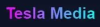 Teslavideomedia logotype